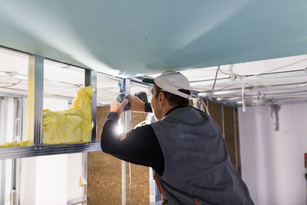 Best Types of Insulation in Sun Prairie, WI